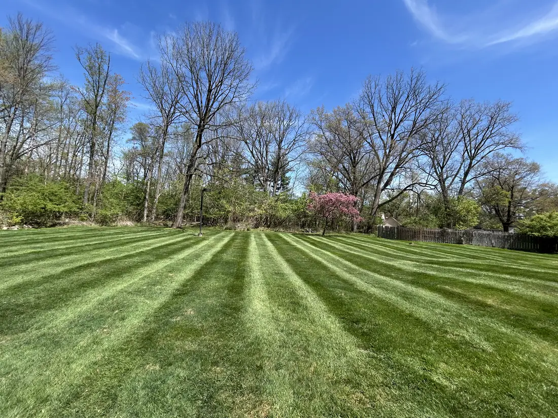 Wide lawn with crisp, even mowing stripes and trees in the background